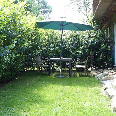 Ferienwohnung Sonnenschein Вальсроде Экстерьер фото